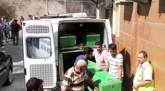 8'inci Kattan Düşerek Öldü