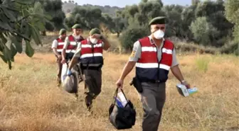 Kayıp Genç, Ağaçta Asılı Bulundu