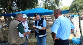 Kurban Pazarına Zabıta ve Veteriner Denetimi