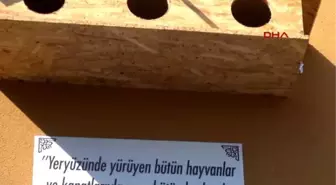 Hayvan Sevgisi İçin 11 Okula Ayetli, Hadisli Kedi Evi ve Kuş Barınağı