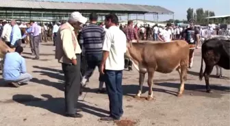 Kurban Pazarlarında Son Gün Hareketliliği