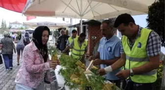 Mezarlıklarda Arefe Yoğunluğu