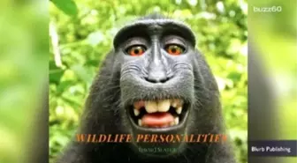 Peta Sues To Give Monkey Copyright Ownership Of Selfie