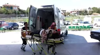 Kontrolden Çıkan Otomobil Takla Attı: 4 Yaralı