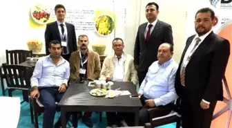 Yaş Meyve Sebze İhracatçıları Rusya Seferine Çıktı