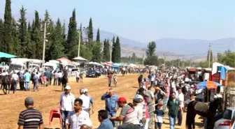 197 At İzmir'de Tozu Dumana Kattı