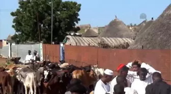 Sudan'daki Mülteci Kamplarına Kurban Yardımı - El