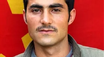 Korucuları Tehdit Eden HDP'li Vekil, PKK'lının Mezarına Çiçek Koydu