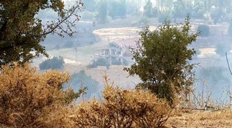 Bitlis'te Altı Terörist Etkisiz Hale Getirildi