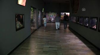 Doğanın Gizemli Canlılarına Turist İlgisi