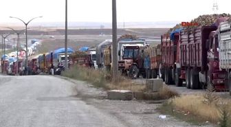 Sorgun'da 18. Dönem Parcar Alım Kampanyası Törenle Başladı
