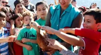 Tedavisi Tamamlanan Hayvanlar Kuş Gözlem Günü'nde Doğaya Salındı