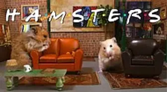 Friends'ın Sevimli Rakibi: Hamsters!