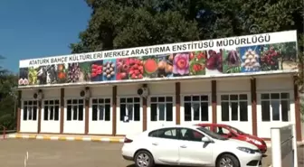 Türkiye'ye 92 Çeşit Yeni Ürün Kazandırdılar