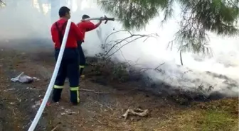 Savaştepe'de Orman Yangını