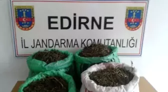 Edirne'de 16,5 Kilogram Kubar Esrar Yakalandı