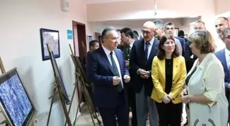 Sanatla Rehabilite Oluyorlar