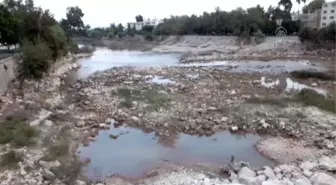 Yağışın Az Olması Çilek Üreticisini Korkutuyor