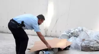 12'nci Kattan Atlayarak İntihar Etti