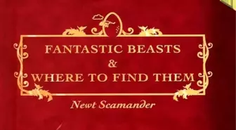 Fantastic Beasts And Where To Find Them'in Kadrosuna Yeni Bir İsim