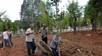 Anıtpark'a Farklı Türde Ağaçlar Dikiliyor