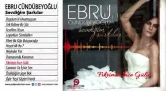 Ebru Cündübeyoğlu - Fikrimin İnce Gülü