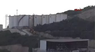 Adatepe'deki Ağaç Kesimi Mahkeme Kararıyla Durduruldu