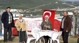 Dilovası Adatepe'de Ağaç Kesimi, Mahkeme Kararıyla Durduruldu