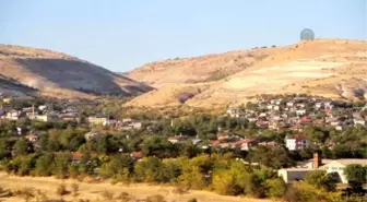 Elazığ'da Kuduz Karantinası