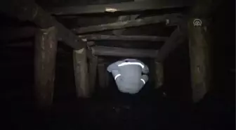 Kömür Fiyatı Arttı