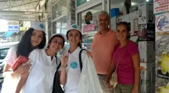 Germencik MHP Kadın Kolları, Tüm Esnafa Bayrak Dağıttı