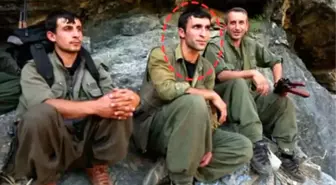 PKK Filminde Rol Alan Teröristler Öldürüldü