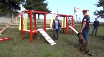 Samsun Enkaz Altından Can Kurtaracak Köpekler İçin Sınav