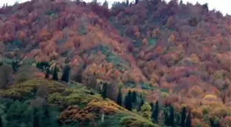 Borçka Karagöl'de Fotosafari Gerçekleştirildi