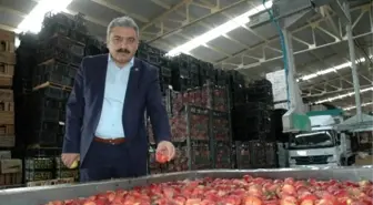 Karaman'da Elma Standartları Çalıştayı Yapılacak