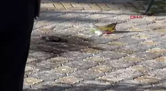 Alacaklısının Üzerine Benzin Döküp Yaktı