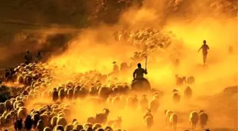 Bitlisli Fotoğraf Sanatçısı Olcay Ödüle Doymuyor