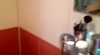 Aynada Gördüğü Yansımasına Hayran Kalan Kedi