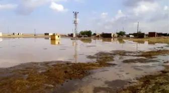 Şanlıurfa'nın Sınır Köylerinde Sel