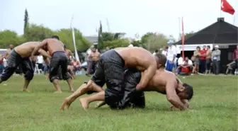 Pehlivanlar Altın Kemer İçin Güreşti