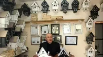 Kuşlar ve Kediler İçin Kafes Yapıyor