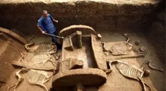 Çin'in Yer Altı Orduları! 500 Atı Diri Diri Gömmüşler