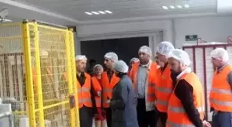 Baklavacılar, Şekerleme, Unlu Mamul Üreticileri ve Marketçiler Kayseri Şeker'de Üretim Aşamalarını...