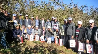 Fındık Budamayı Öğrendiler