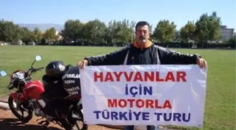 Sokak Hayvanları İçin Yola Düştü