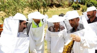 Organik Bal Arıcılığı' Projesi Kapsamında İlk Hasat Yapıldı