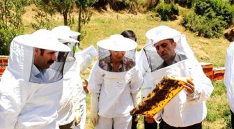 Van'da 'Organik Bal Arıcılığı' Projesi Kapsamında İlk Hasat Yapıldı