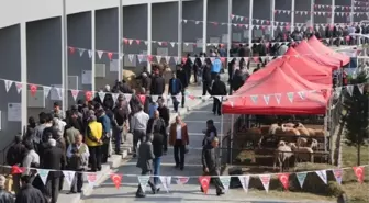 Anadolu Expo Canlı Hayvan Fuarında Satış Rekoru Kırıldı