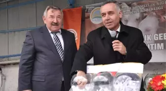 İhtal İnekler Üreticilere Teslim Edildi
