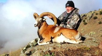Bir Anadolu Yaban Koyununu Avlamak İçin 90 Bin Lira Ödedi